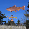 Brook Trout Weather vane