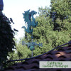 Patina Dragon Weathervane, customer Photo