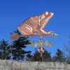 Frog Weathervane