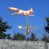 Fox Weather vane