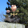 Apple Weather vane