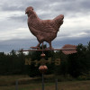 Hen Weathervane – Handmade in USA