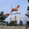 Beagle Weathervane