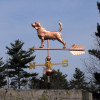 Beagle Weathervane