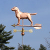Lab Weathervane