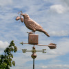 Crow Weather vane