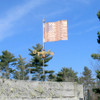 American Flag Weather vane