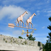 Two Giraffe Weathervane