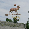 Elk Weathervane