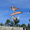 Seagull Weathervane on a rock with french fries