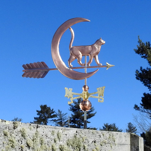 moon and cat weather vane