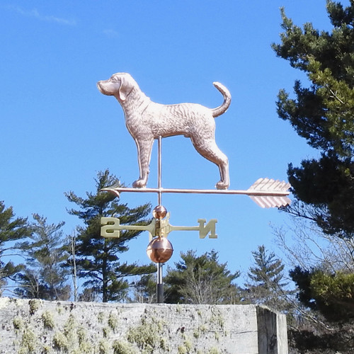 blue tick hound weathervane