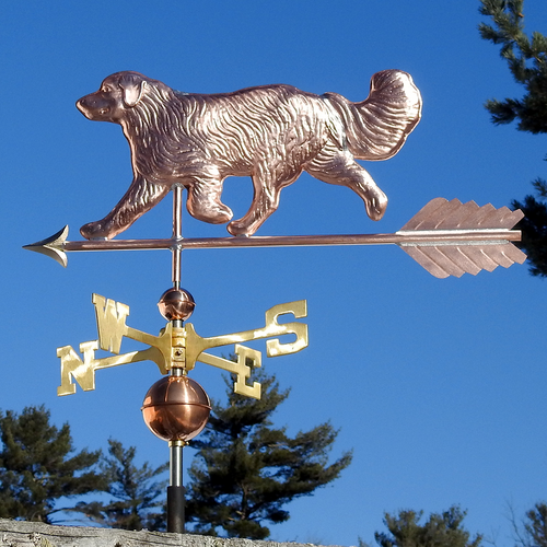 Australian Shepherd Weather Vane