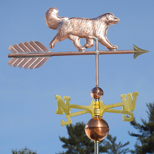 Australian Shepherd with Tail Weathervane