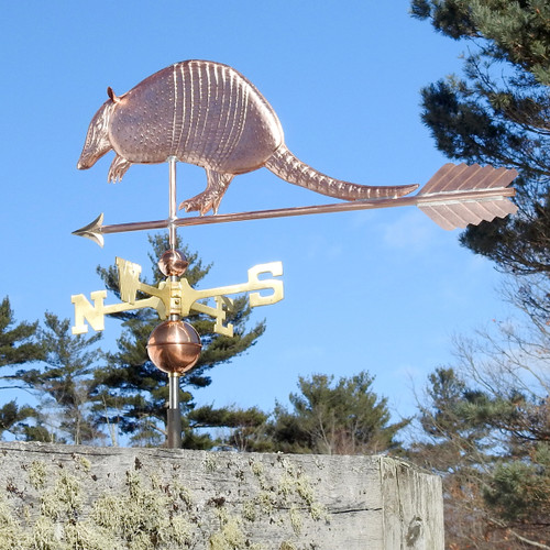 Armadillo Weathervane    253