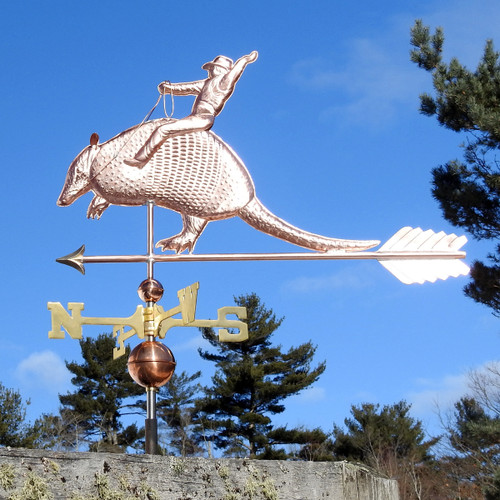 Armadillo with Cowboy Weathervane