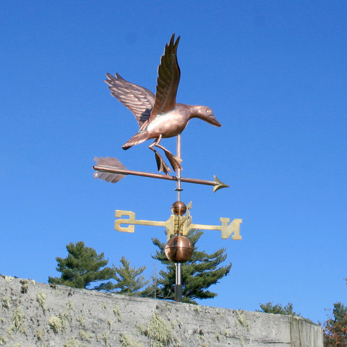 Duck Weather vane