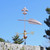 Feather/Quill Weathervane