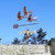 Copper Geese in Flight Weathervane with Arrow