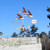 Copper Geese in Flight Weathervane with Arrow