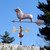 Corgi Weathervane