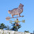 Sheltand Sheepdog Weathervane