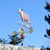 Angus Bull Weathervane