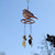 warbler wind chime