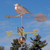 Warbler Weathervane