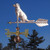 Labrador weathervane