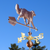 Handmade Australian Shepherd with Tail Wind Vane