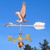 hawk weathervane