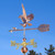 hawk weathervane