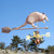Armadillo Weathervane
