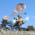 Armadillo Weathervane