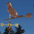 Copper Labrador with Collar Weathervane