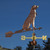 Copper Labrador with Collar Weathervane