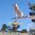 Labrador Weathervane