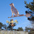 Labrador Weathervane