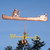 canoe and dog weathervane