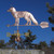 fox weathervane