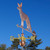 fox weathervane