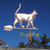cat weathervane