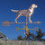 labrador weathervane
