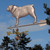 Bulldog Weathervane