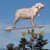 Bulldog Weathervane