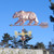 Bear Weather vane