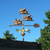 Copper Flock of Flying Pigs Weathervane