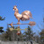 Copper Triple Tail Rooster Weathervane