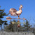 Triple Tail Rooster Weather vane